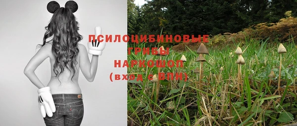 каннабис Аркадак