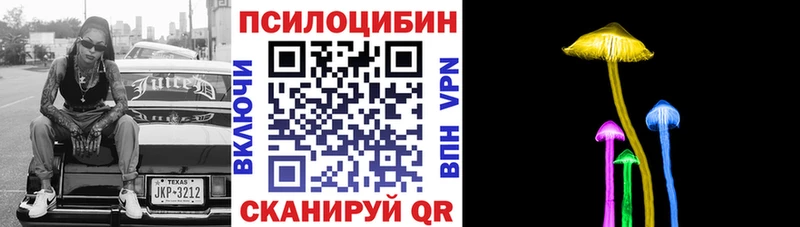 Псилоцибиновые грибы прущие грибы  купить наркотики сайты  Валдай 